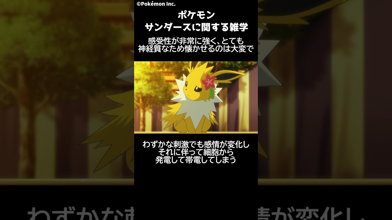 ポケモン 1分でわかるサンダースに関する雑学・豆知識 Pokemon #ポケモン #pokemon #ポケットモンスター