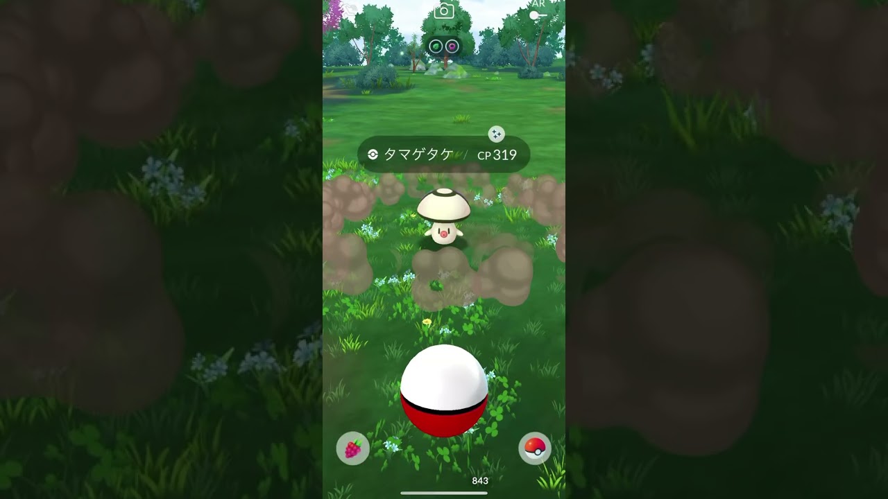 ポケモンGO タマゲタケ　色違い