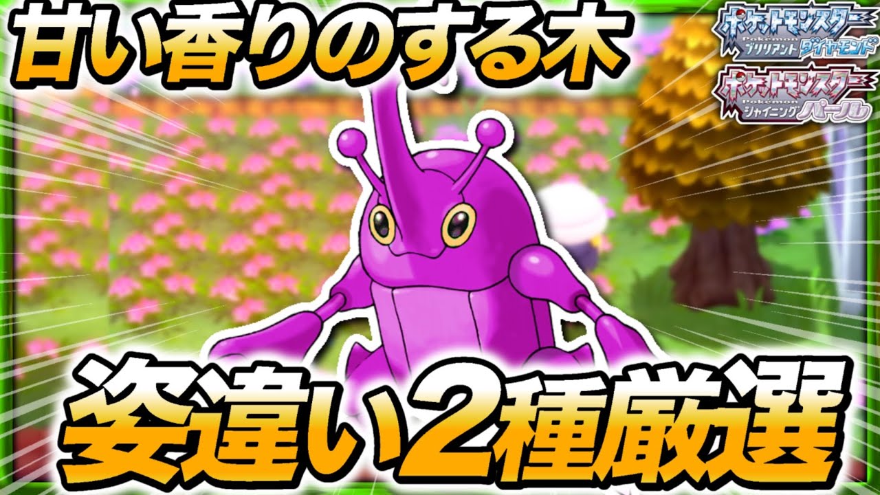 【ポケモンBDSP】”甘い香りのする木”で色違いヘラクロス姿違い厳選！【ゆっくり実況/VOICEVOX実況】