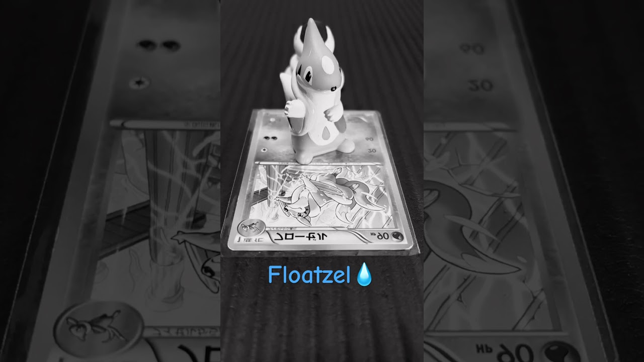 #Floatzel💧 #pokemon