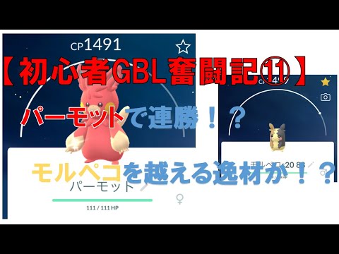【初心者GBL奮闘記⑪】モルペコ、デデンネを超える電気枠発見！？パーモットが強かった件。