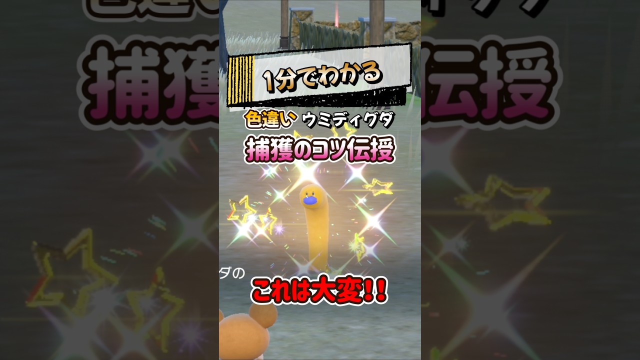 【ポケモンSV】1分でわかる色違いウミディグダ厳選！イベント大量発生中だからさらに効率よく探そう！ポケモンスカーレットバイオレット #ポケモンsv #ポケモン #Shorts