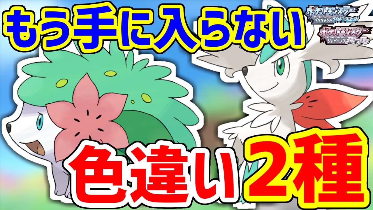 【BDSP】現在入手方法無し！色違いシェイミを2種類ゲットするぞ！！！！