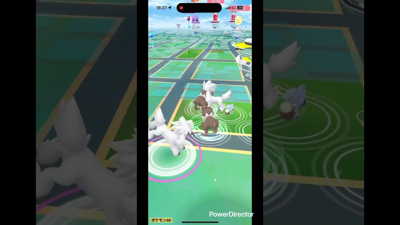 ちっちゃいトリミアン #pokemongo #pokemon #ポケgo #pokémon #ポケモンgo #ポケモン