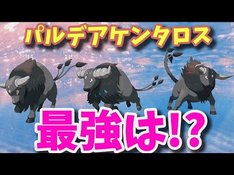 【ポケモン】どの「パルデアケンタロス」が最強!?【ポケモン解説員】