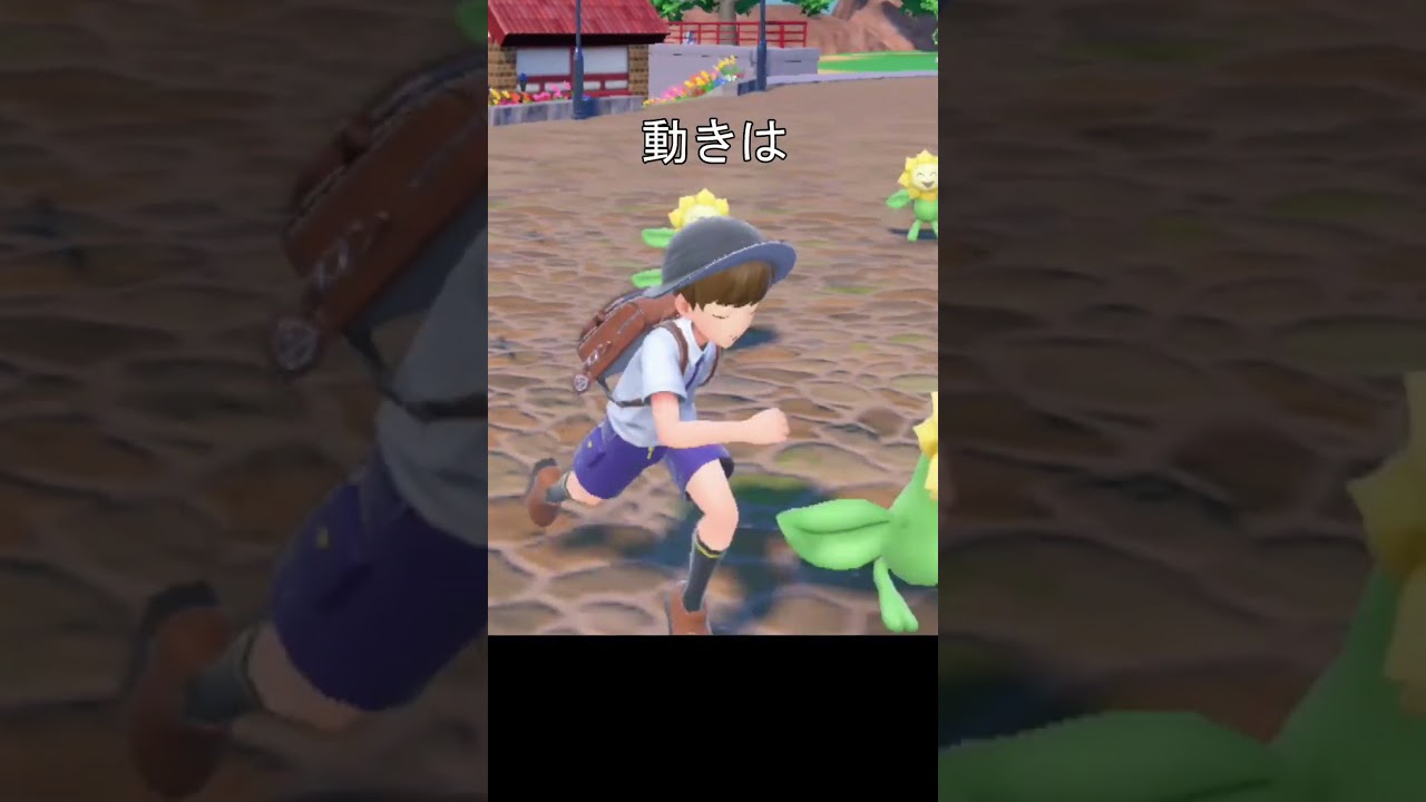 キマワリの動き　比較　#ポケモンsv #キマワリ #switch2 #スイッチ2