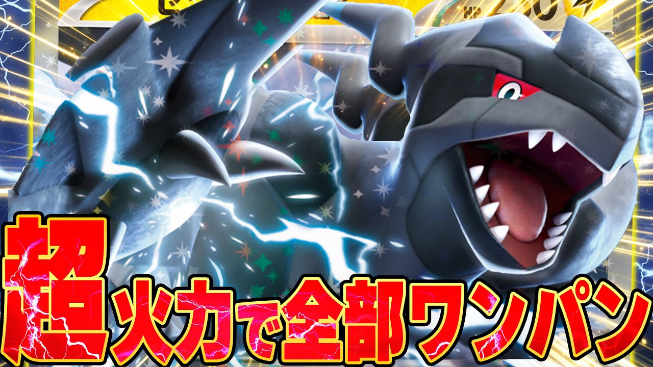 ゼクロム+シビビールのコンボがガチで強すぎる！！！【ポケカ対戦】