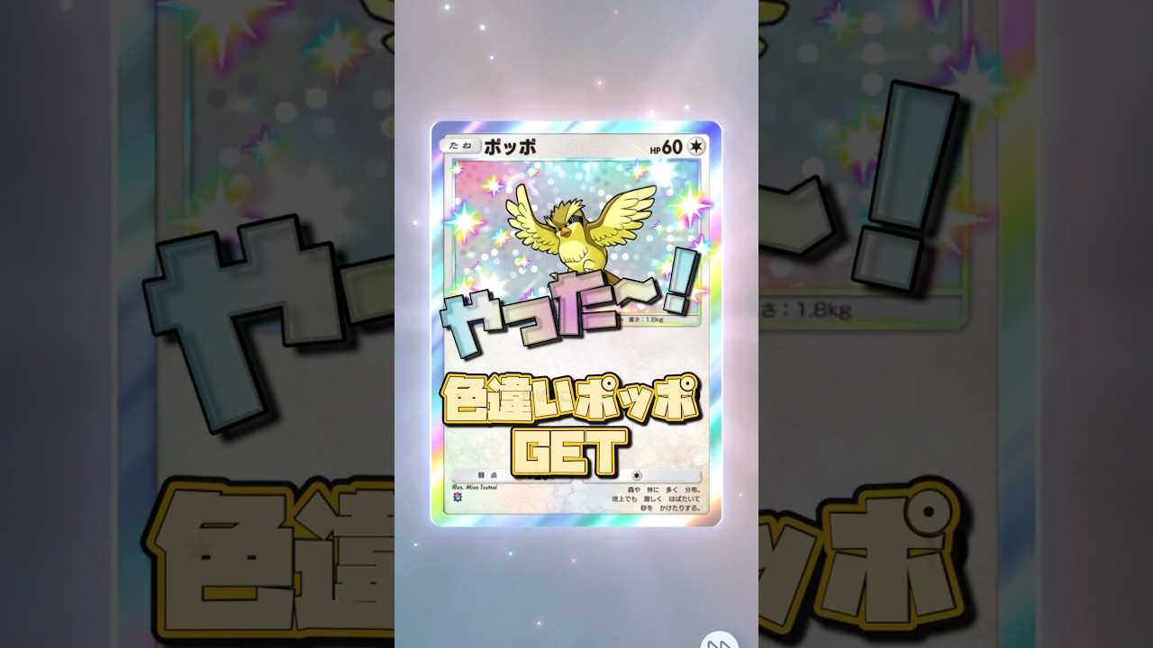 【ポケポケ】✨色違いポッポGET⁉︎✨