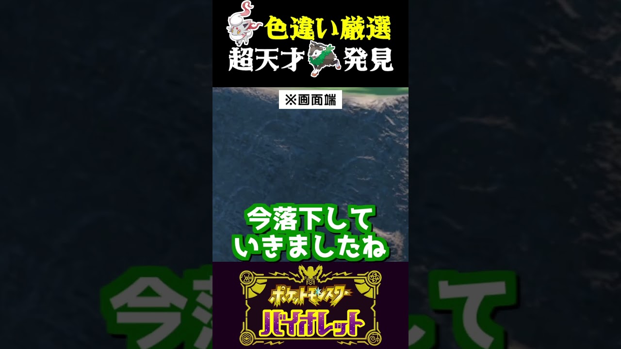 【天才&色違い】ヒスイゾロアの色違い厳選中に天才メェークルが現れたww【ポケモンSV】【スカーレット・バイオレット】【うさごん】