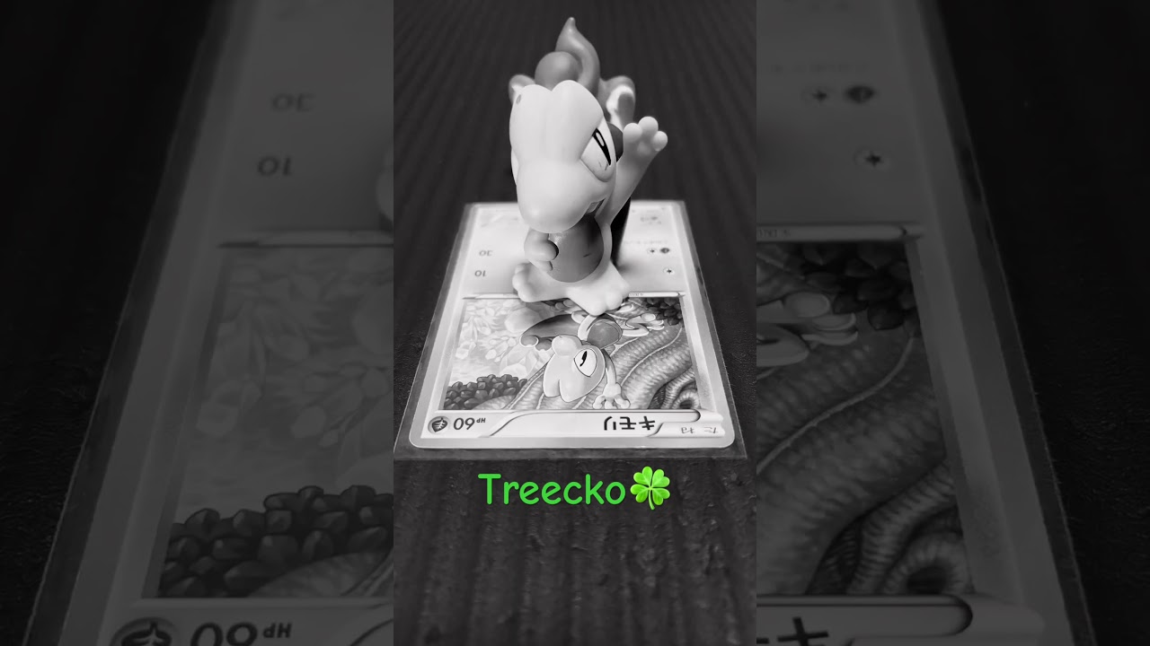 #Treecko🍀 #pokemon