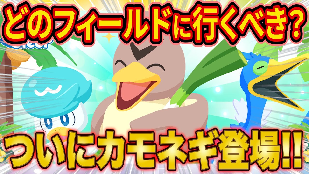 ポケスリ「サマーフェスティバル」でやるべきこととフィールド選びを解説！待望の新ポケモン「カモネギ」も登場【Pokémon Sleep】【ポケモンスリープ】