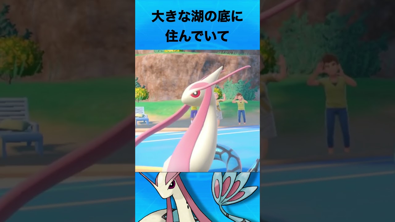 ミロカロスについて #ポケモン  #ミロカロス