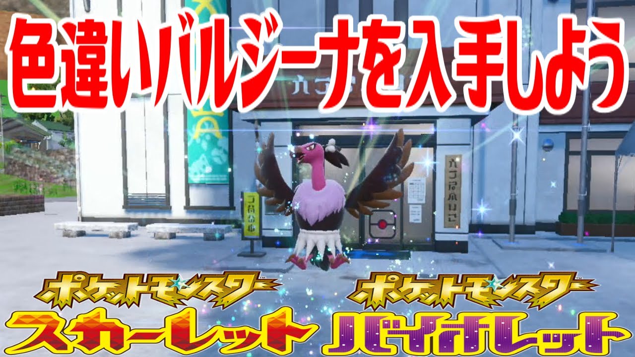 【ポケモンSV】色違いバルジーナを入手しよう 進化入手【ポケットモンスター スカーレット・バイオレット ゼロの秘宝 碧の仮面】Pocket Monsters