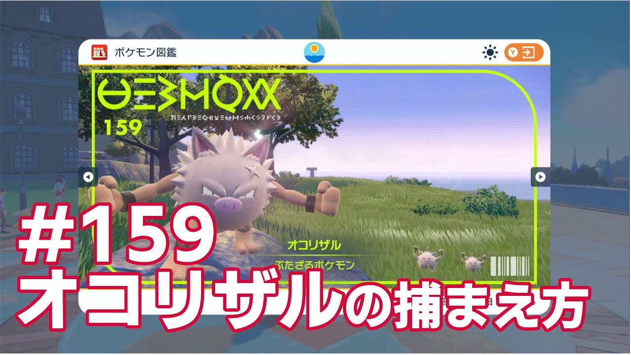 オコリザルを探している方に見てほしい動画