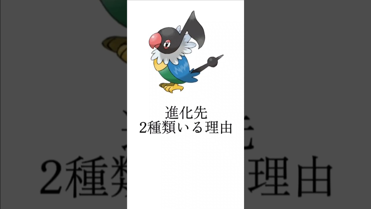 ペラップ 進化先2種類の理由 #ダイヤモンドパール #ポケモン考察