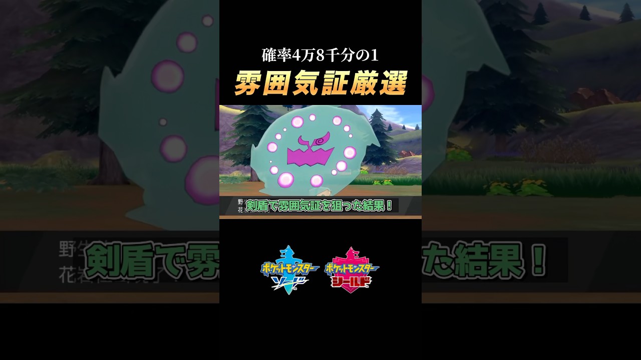 ”確率4万8千分の1”剣盾で雰囲気証ミカルゲを狙った結果… #ポケモン #shorts