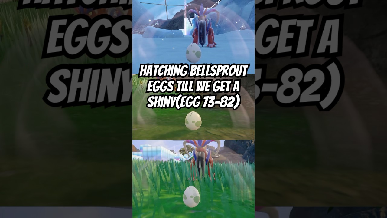 hatching Bellsprout eggs till we get a shiny(egg 73-82) #shinypokemon #fyp #pokemon #poketuber #egg