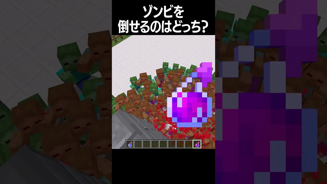 ゾンビを倒せるのはどっち？#shorts  #minecraft