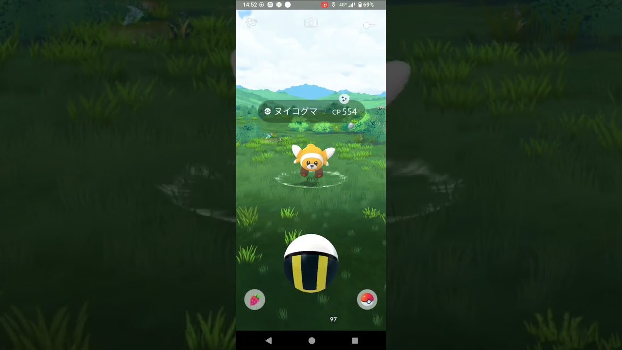 ポケモンGO　ヌイコグマ　色違い