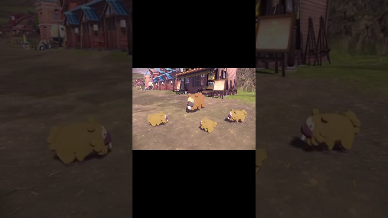 ビッパ先生の授業【ポケモンレジェンズアルセウス】