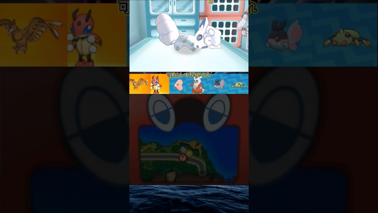 可愛すぎるアローラロコンとの物語　#shorts   #ポケモンUSM #ゲーム実況　#ウルトラムーン