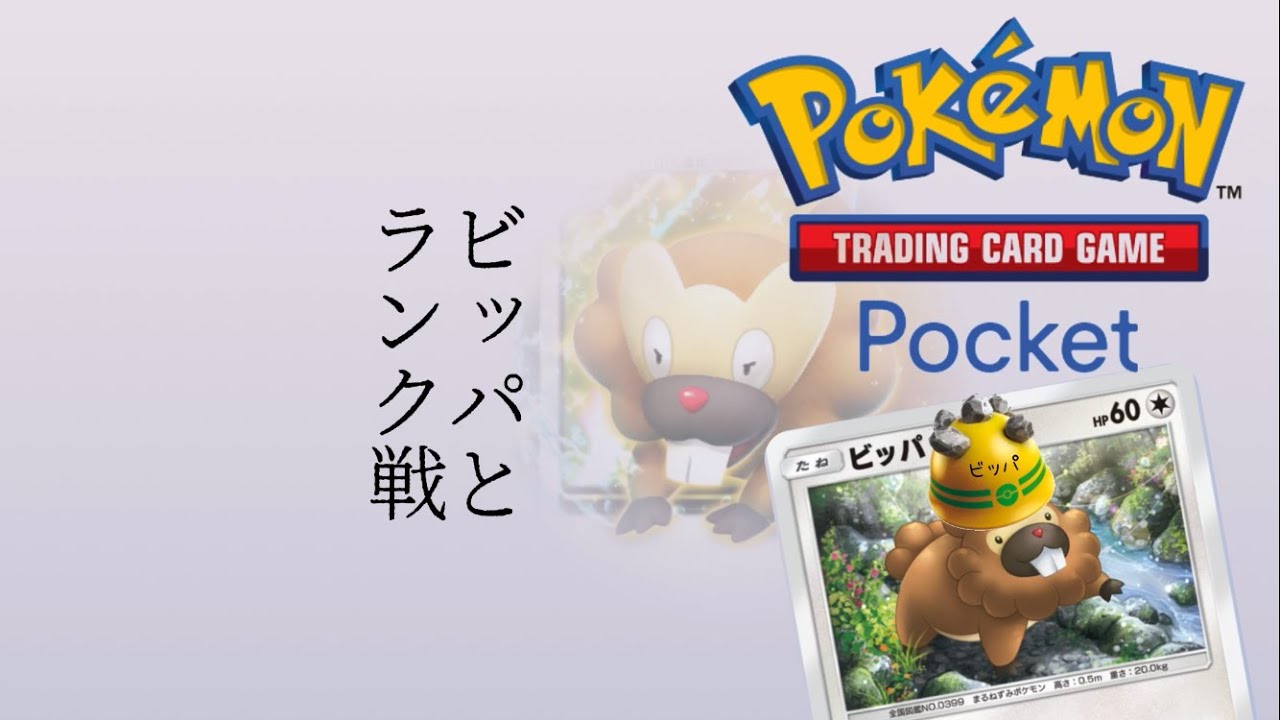 ビッパと一緒にランク戦！（ハイパーボール1）|| Pokémon Trading Card Game Pocket / LIVE /