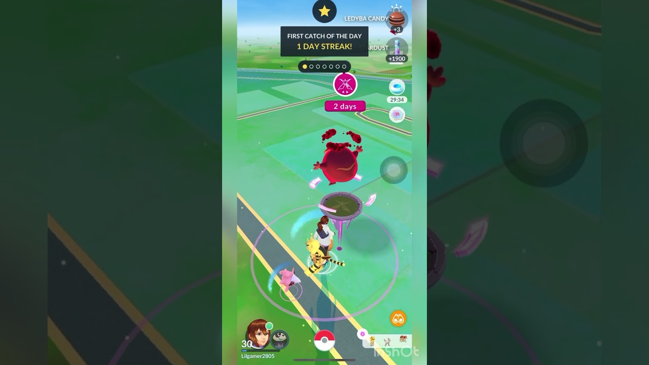 Wild Ledyba | Eevee #eevee #pokemon #shinypokemon #maxlevel #gigantamaxpokemon #shinypokemon