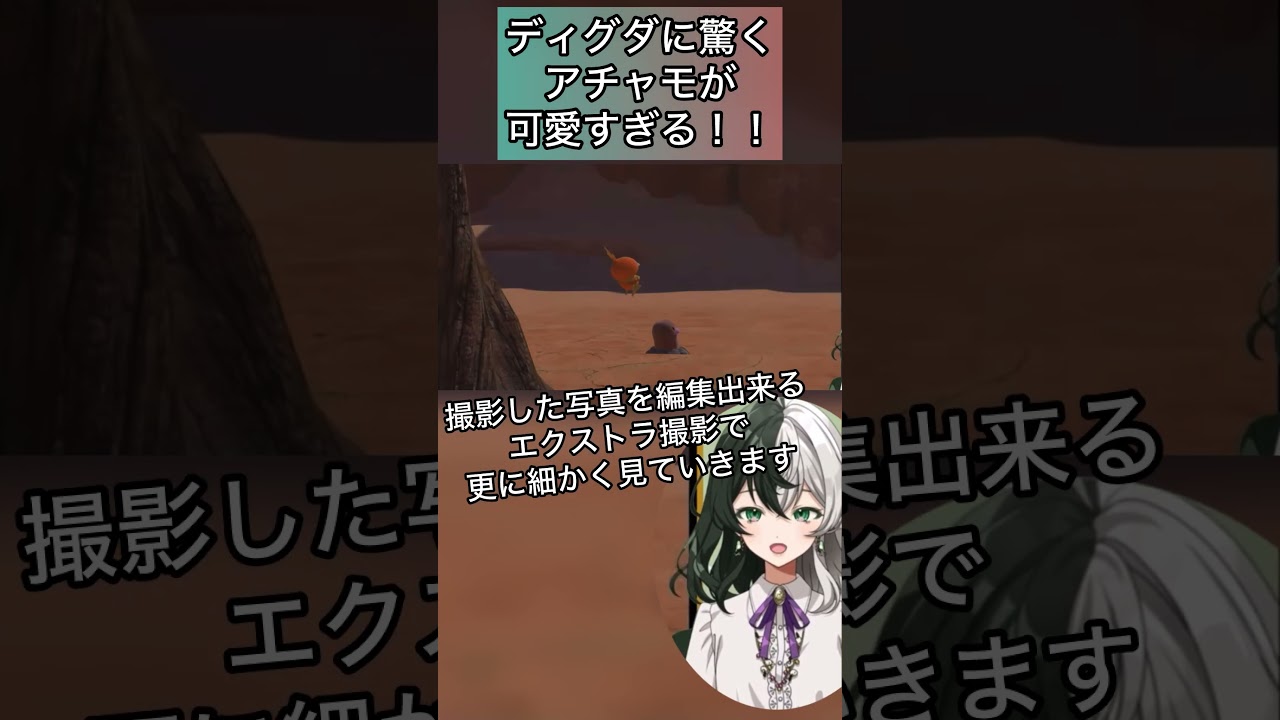ディグダに驚くアチャモが可愛すぎる！！ #shorts #vtuber #個人vtuber #pokemon #newポケモンスナップ
