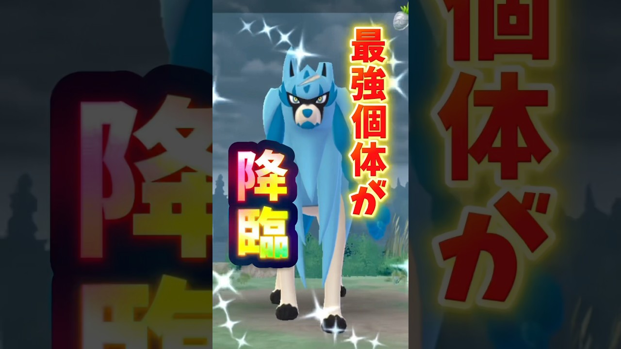 【悲報】最強のザシアンさんでやらかす...。GOFest2025でまさかの神ザシアン降臨！！けど...【ポケモンGO】#ポケモンGO #GOFest2025