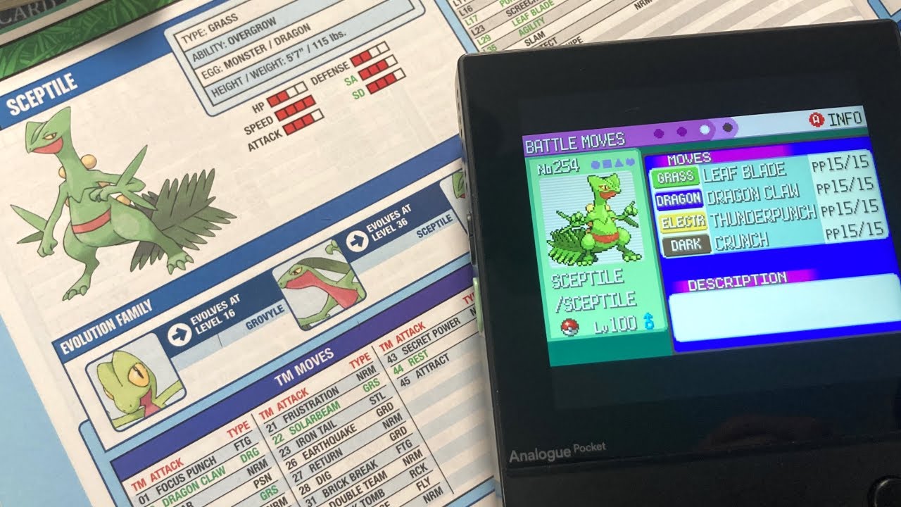 A Sick Sceptile Build for Emerald Battle Frontier