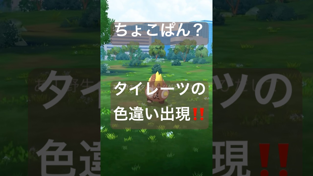 野生の色違いポケモンを探して捕獲する動画#ポケモンgo #pokemongo #タイレーツ