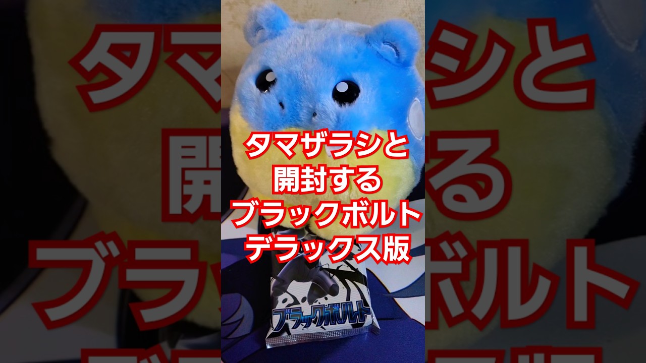 タマザラシと開封する ブラックボルト デラックス パック開封 #ポケカ #ポケモンカード #ジムバトル #開封動画  #ポケカ初心者