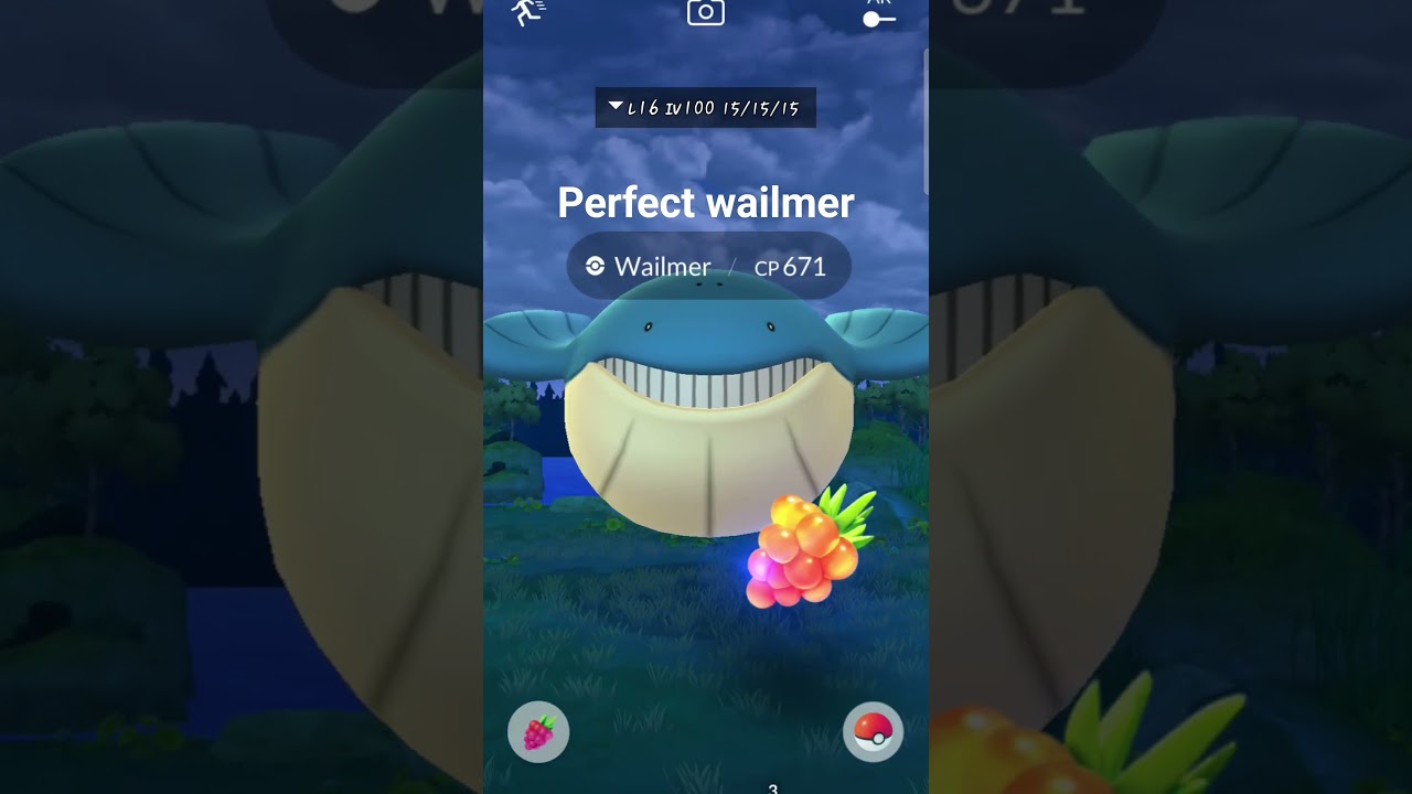 4 star wailmer #pokemongo #pokemon