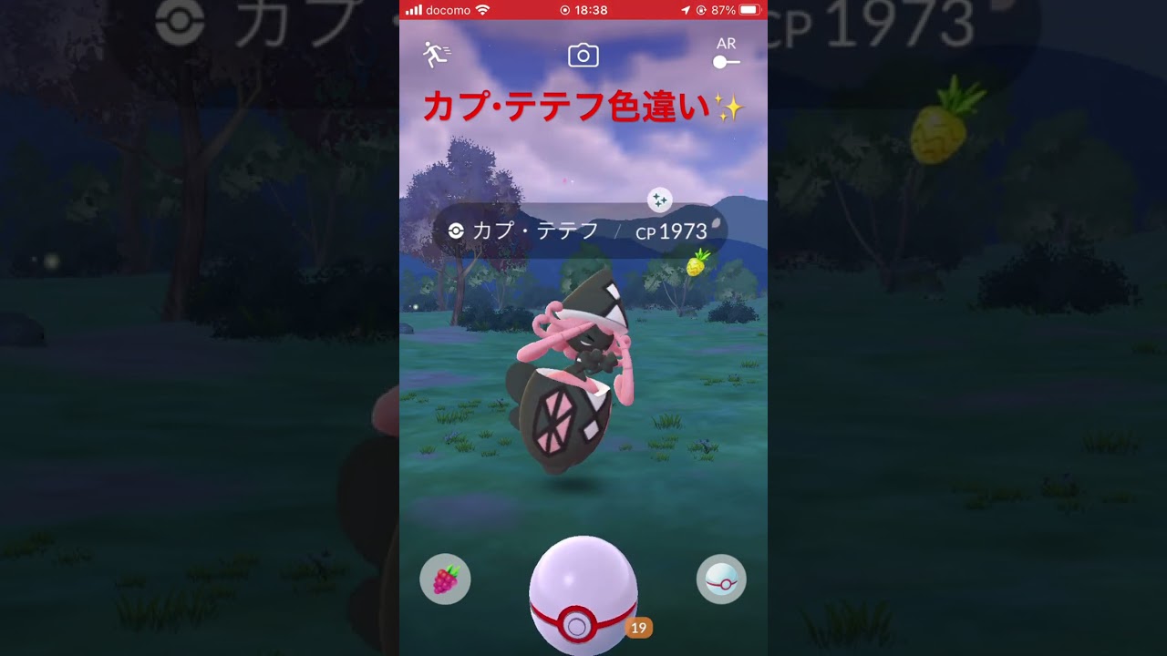 カプ・テテフ 色違い✨