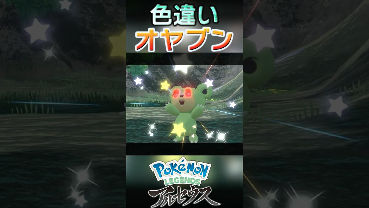 戦闘！色違いオヤブンヒメグマ #shorts