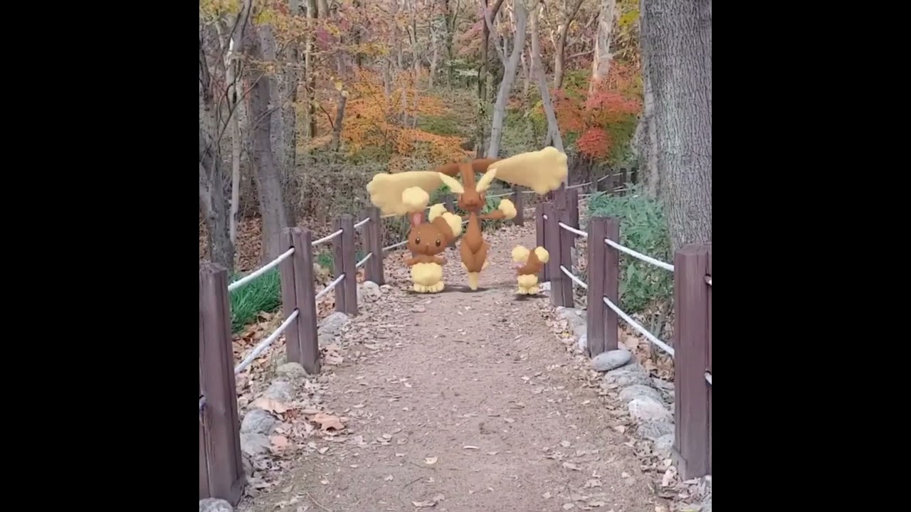 이어롤+이어롭 ( Buneary+Lopunny ) ミミロル+ミミロップ ( 捲捲耳+長耳兔)