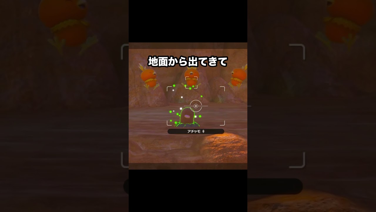 宙に舞うアチャモ #ポケモンスナップ #ポケモン