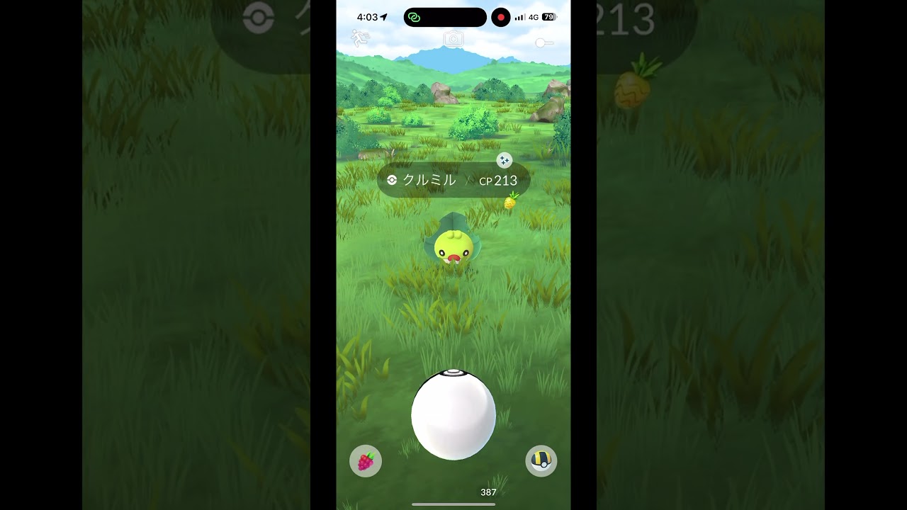 ポケモンgo クルミルの色違いカラー #ポケモンgo #ポケモン #クルミル