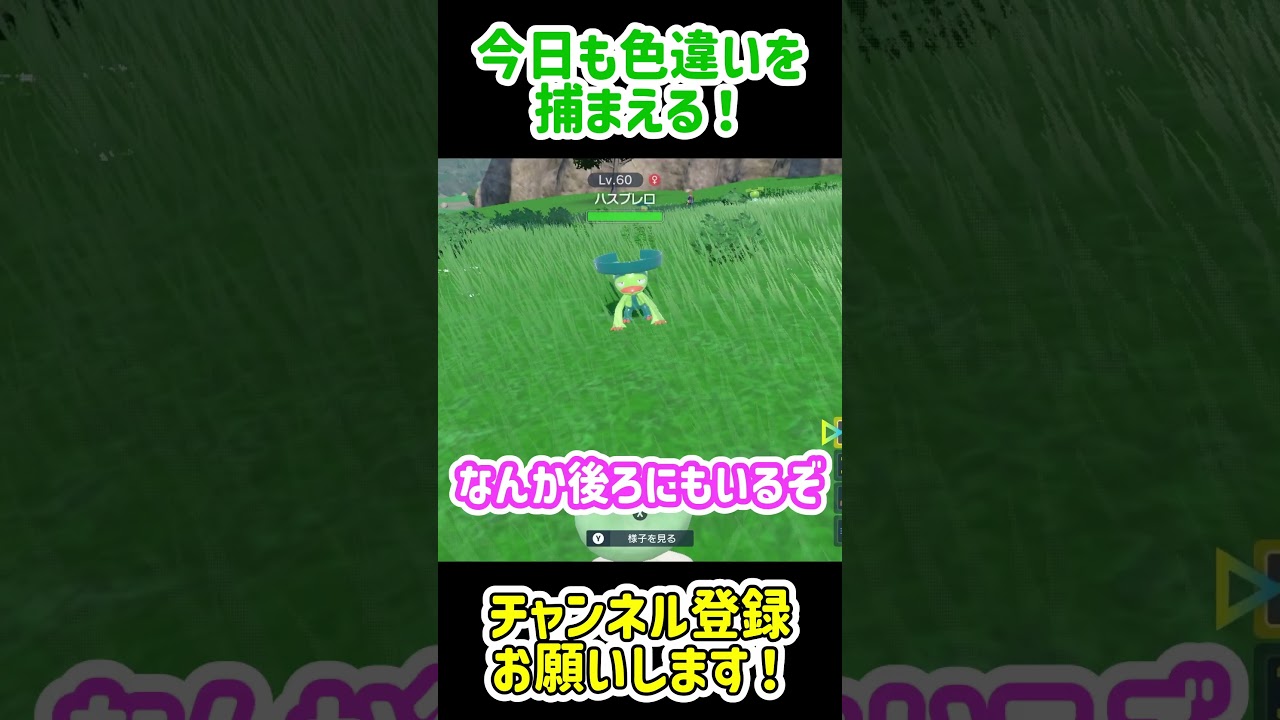 色違いを捕まえるいつもの時間