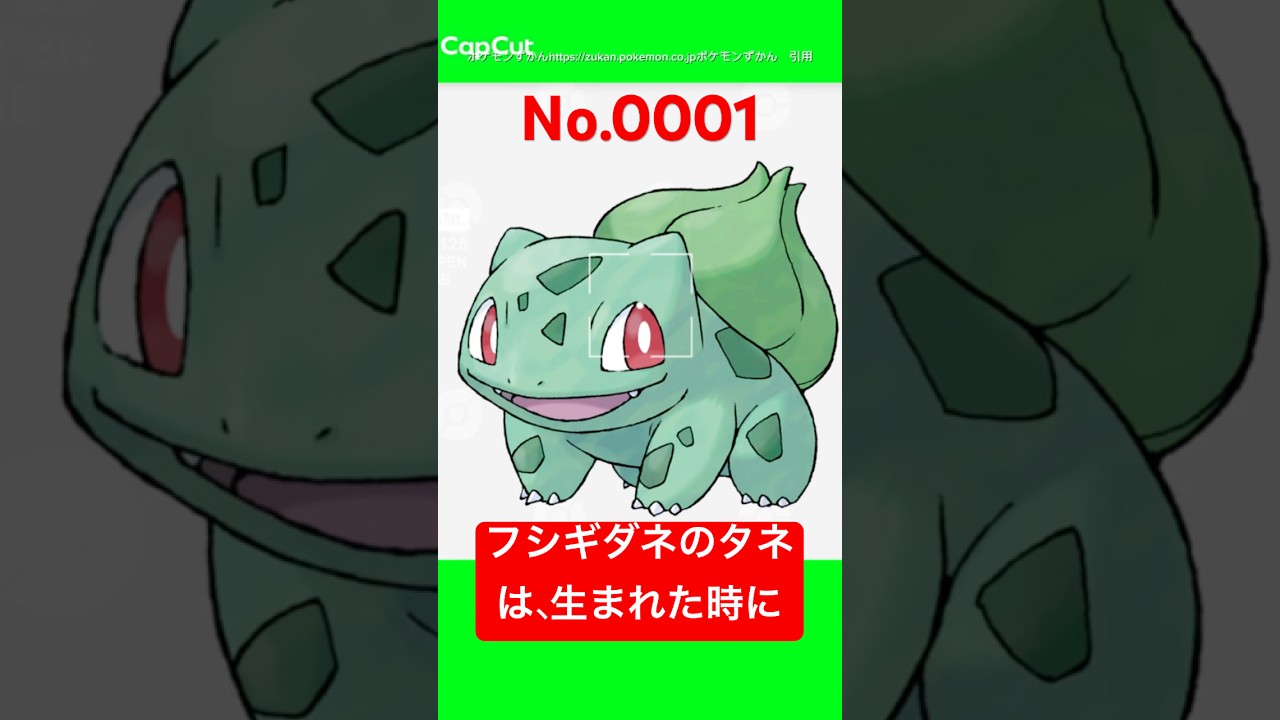 ポケモン雑学【フシギダネ】#フシギダネ #草タイプ # ポケモン #pokemon #pokémon #ポケポケ #ポケモンgo   #ポケモン雑学 #ポケモンカード #ポケモンsv #anime