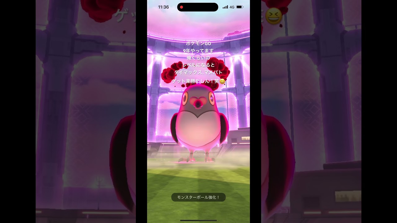 ダイマックス、マメパト楽勝！ #shorts #ポケモン #ポケモンgo #ポケモンカード #ポケポケ