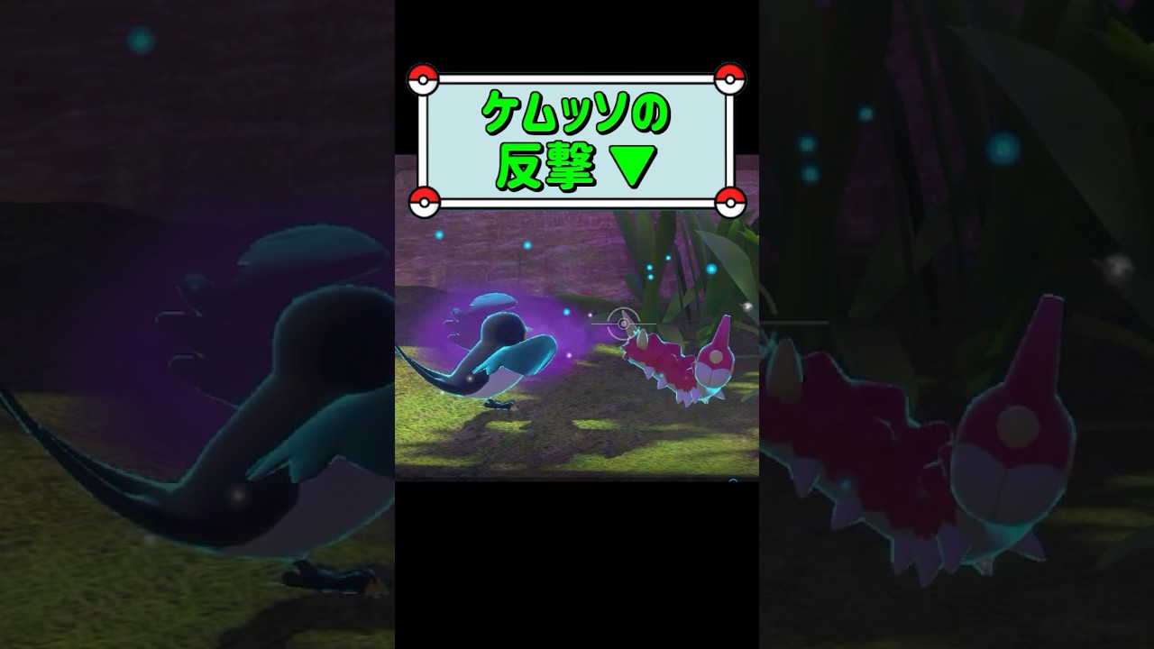 「ケムッソの反撃 ▼」　#ポケモンスナップ　#ポケモン　#shorts