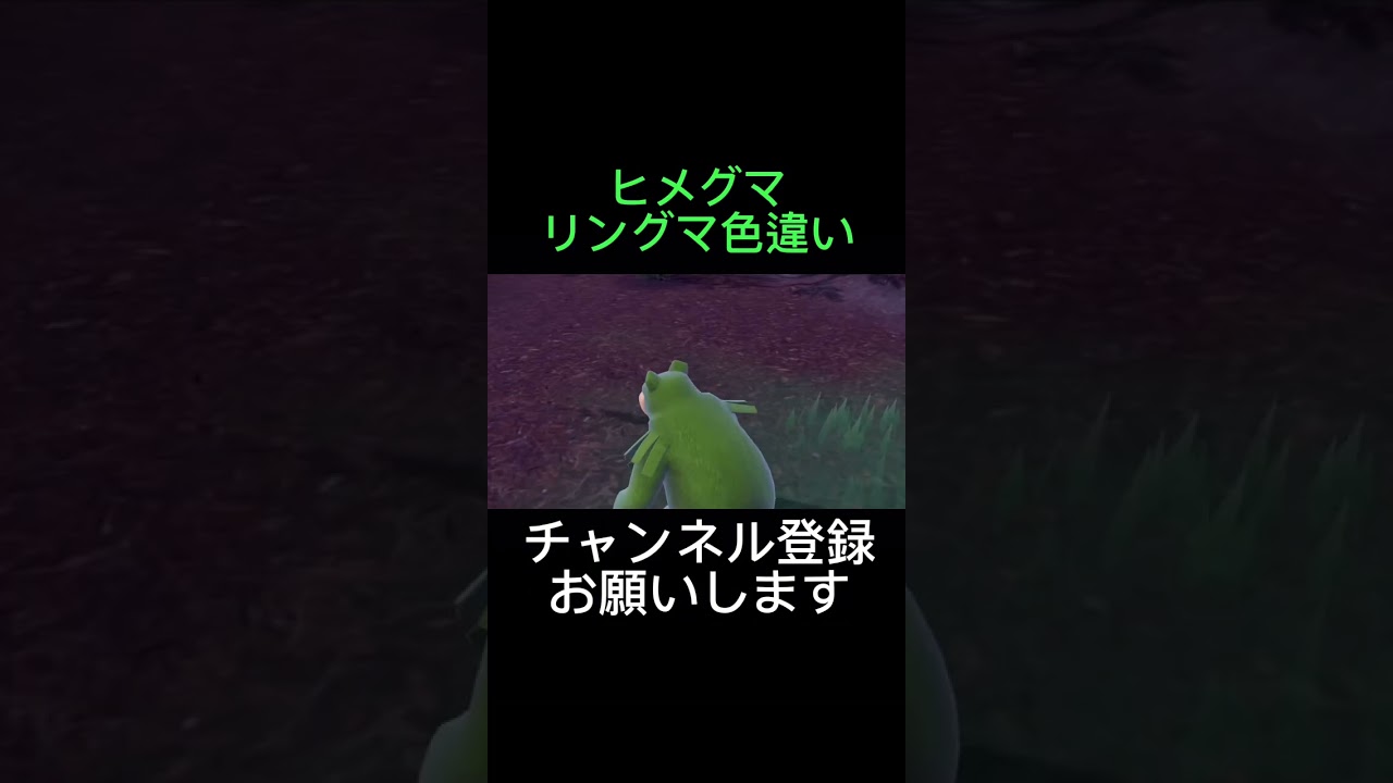 【ポケモンsv】ヒメグマ、リングマ色違い同時出現ゲット‼️【レジェンズアルセウス】ガチグマ色違い進化‼️