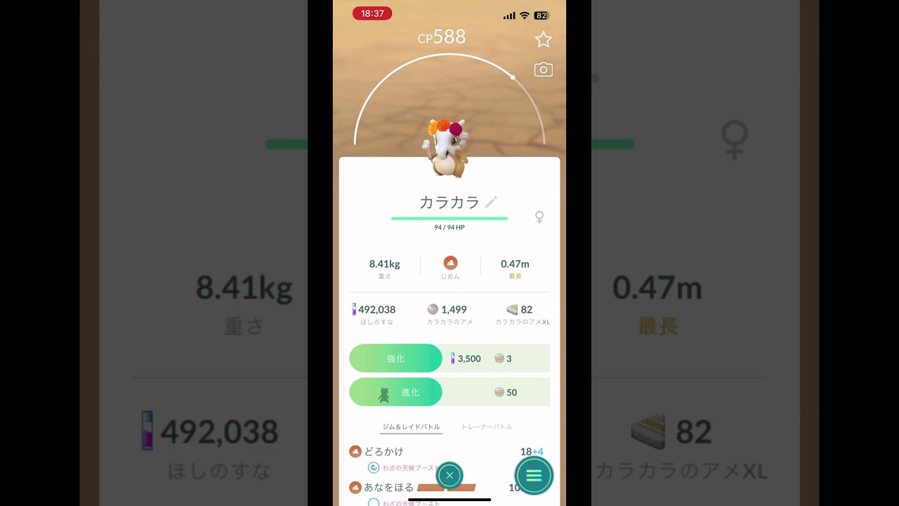 【ポケモンGO】花飾りカラカラをGO plus+が捕まえてくれてました✨️          #ポケモンGO #ポケモンgo #ポケモン #花飾りカラカラ #イベント
