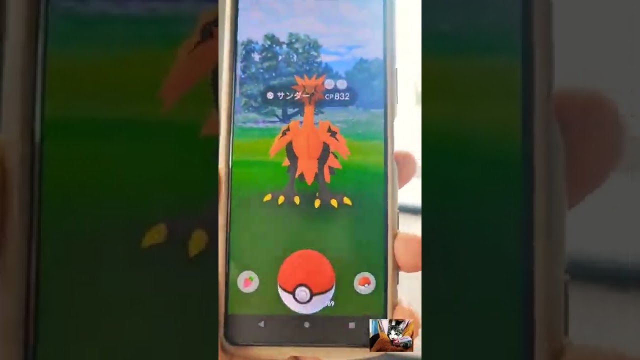 【Pokémon GO】おさんぽおこうで野良出現！「ガラルサンダー」捕獲超難関！！