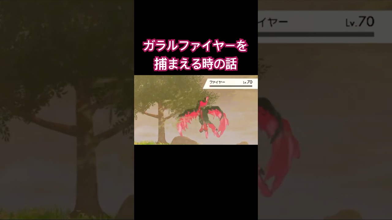 ガラルファイヤーもう嫌！って話 #ショート #ポケモン
