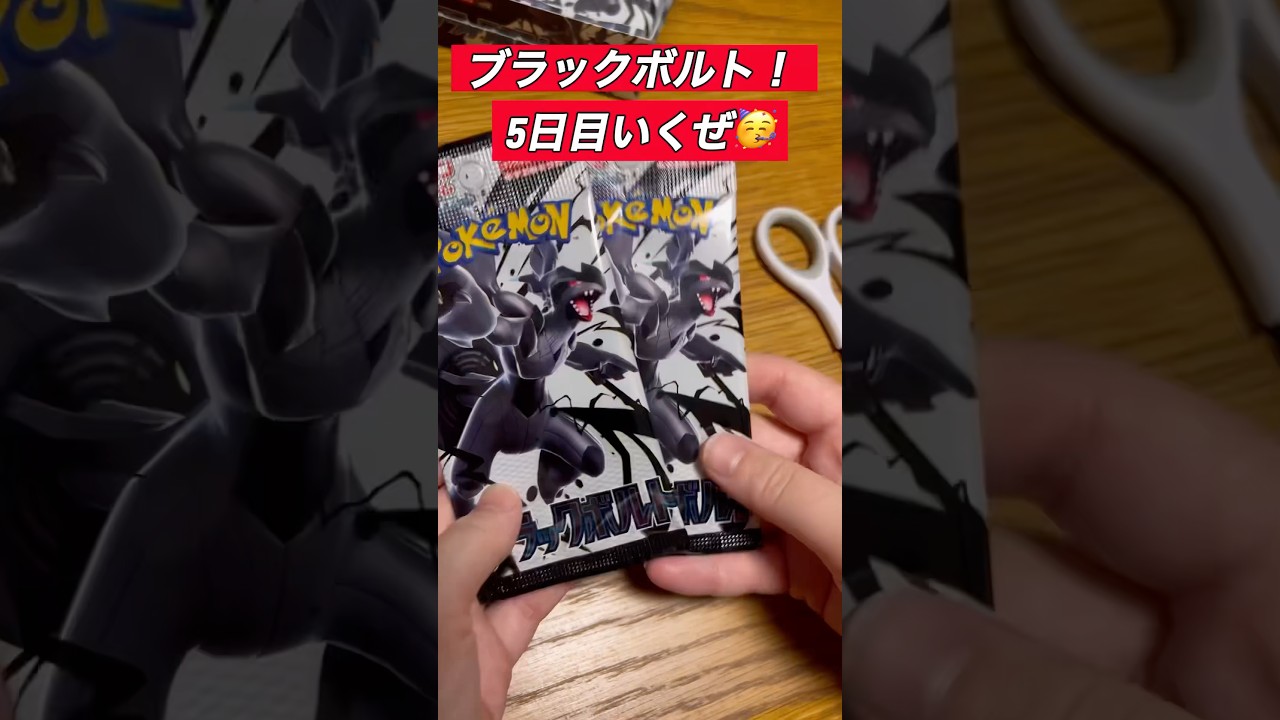 見せ場温存で折り返し‼️ツタージャが可愛いブラックボルト❣️#ポケカひな #トレカひな #ポケカ #ポケカ開封 #ポケカ女子 #pokemon #pokemoncards #ブラックボルト