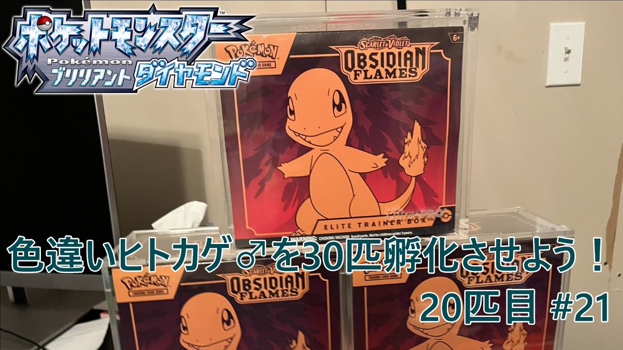 【ポケモンBDSP】色違いヒトカゲ♂を30匹孵化させよう！【色違い】 28匹目 #21