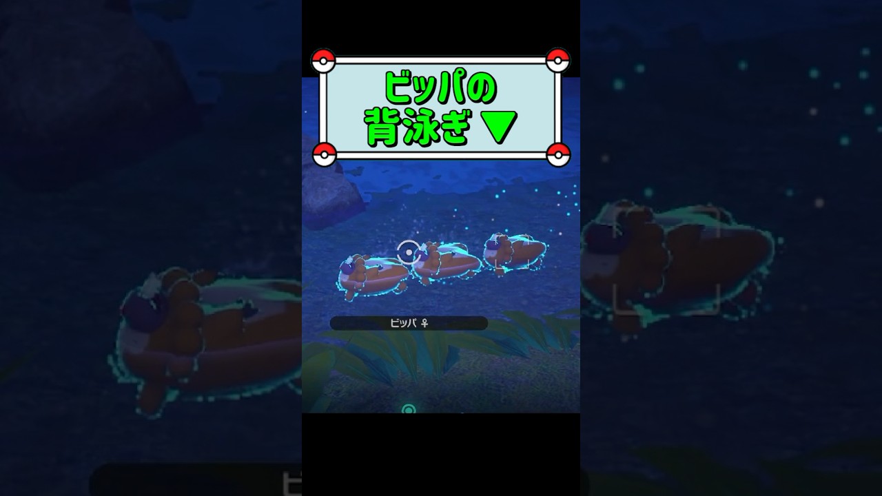 「ビッパの背泳ぎ ▼」　#ポケモンスナップ　#ポケモン　#shorts