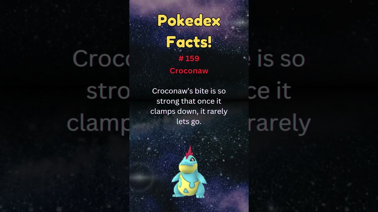 Pokedex Facts! #159 - Croconaw